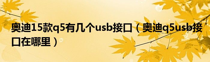 奥迪15款q5有几个usb接口（奥迪q5usb接口在哪里）