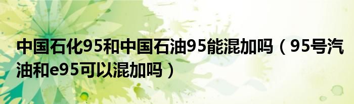 中国石化95和中国石油95能混加吗（95号汽油和e95可以混加吗）