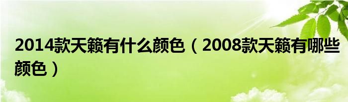 2014款天籁有什么颜色（2008款天籁有哪些颜色）