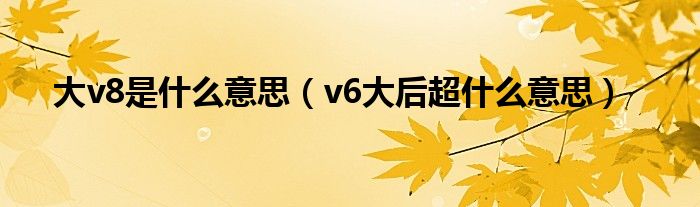 大v8是什么意思（v6大后超什么意思）