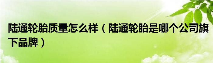 陆通轮胎质量怎么样（陆通轮胎是哪个公司旗下品牌）