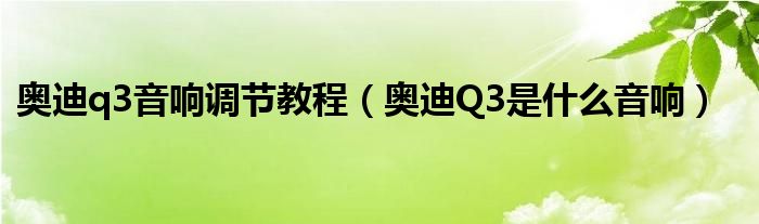 奥迪q3音响调节教程（奥迪Q3是什么音响）