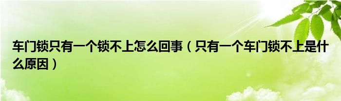 车门锁只有一个锁不上怎么回事（只有一个车门锁不上是什么原因）